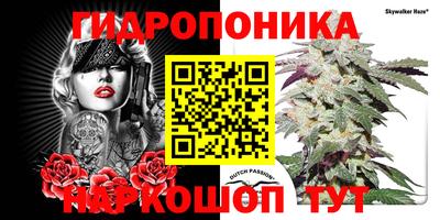 индика Заводоуковск