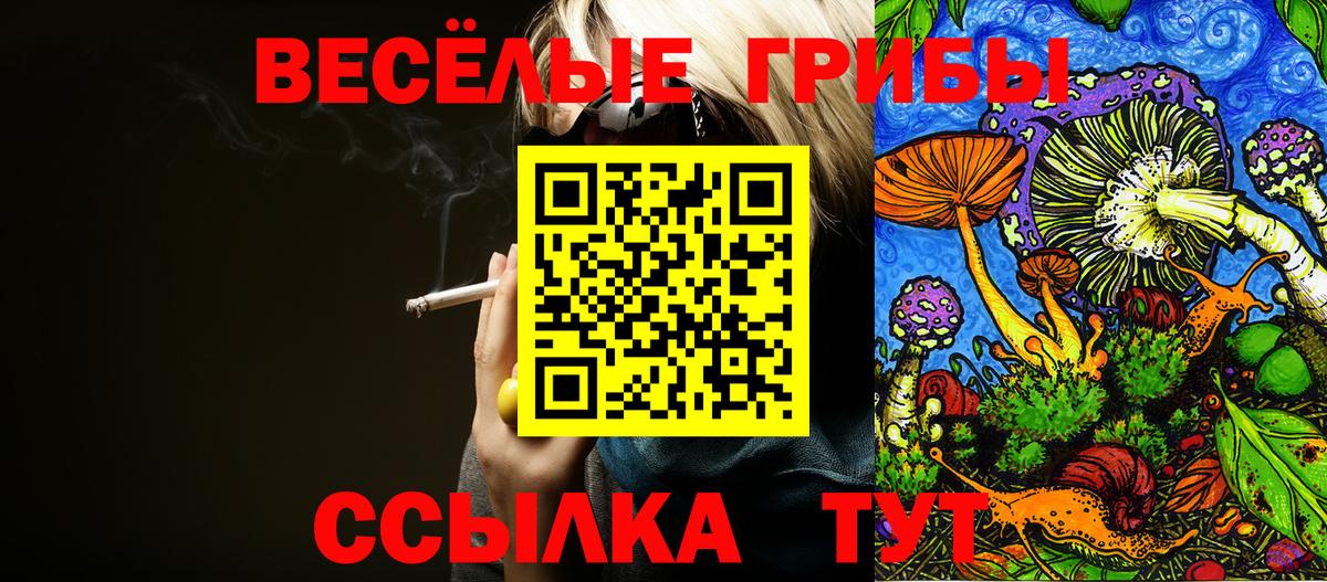 Псилоцибиновые грибы Magic Shrooms  Псилоцибиновые грибы MAGIC MUSHROOMS  Вход с VPN  Верхняя Пышма 